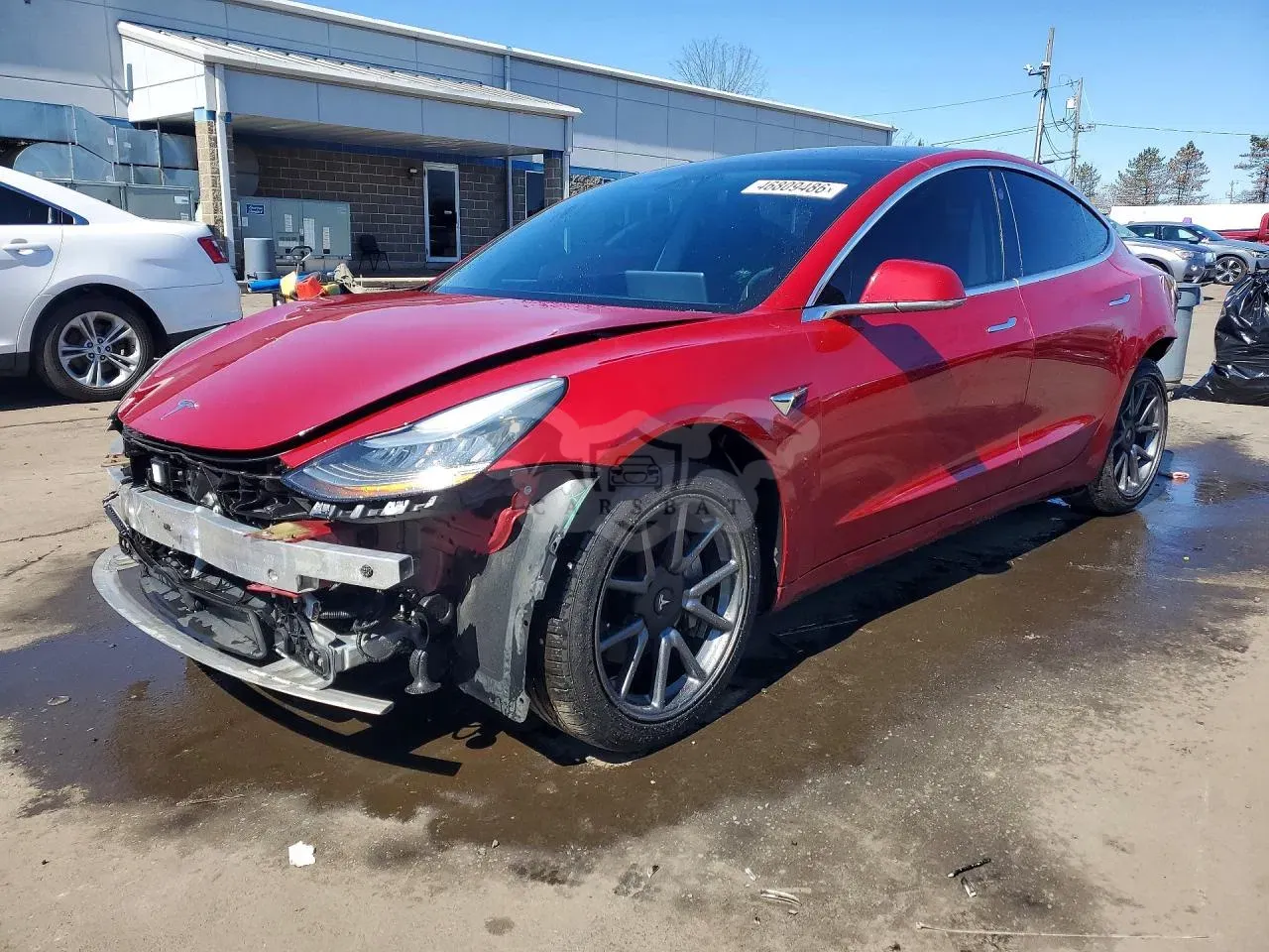 Tesla Model 3 2019