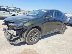 Lexus NX 2.5L 4 2024