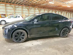Tesla Model Y 2020