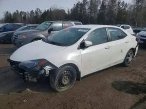 Toyota Corolla 1.8L 4 2019