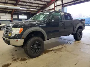 Ford F-150 4.6L 8 2010