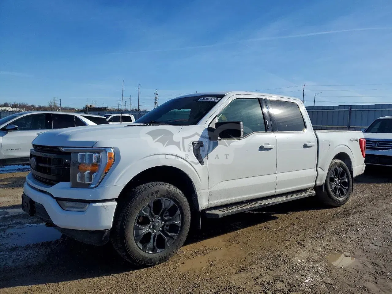 Ford F-150 5.0L 8 2023