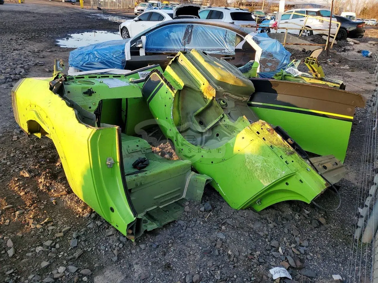 Dodge Challenger 6.4L 8 2019