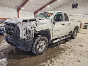 Chevrolet Silverado 1500 6.6L 8 2020