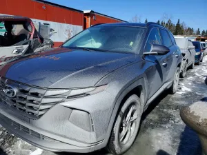Hyundai Tucson 2.5L 4 2024