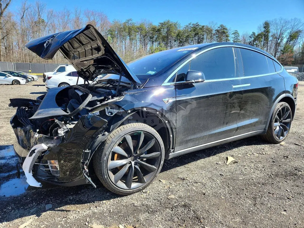 Tesla Model X 2019