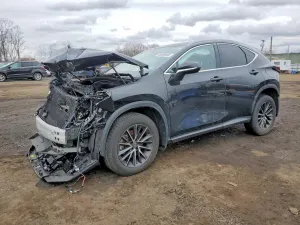 Lexus NX 2.4L 4 2023