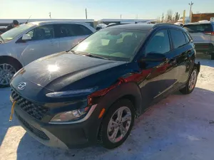 Hyundai Kona 2.0L 4 2023