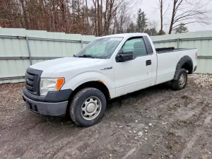Ford F-150 4.6L 8 2010