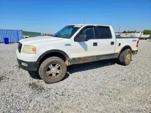 Ford F-150 5.4L 8 2004