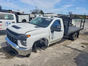 Chevrolet Silverado 1500 6.6L 8 2023