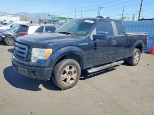 Ford F-150 4.6L 8 2009