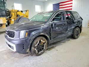 Kia Telluride 3.8L 6 2025