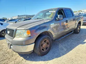 Ford F-150 4.6L 8 2006