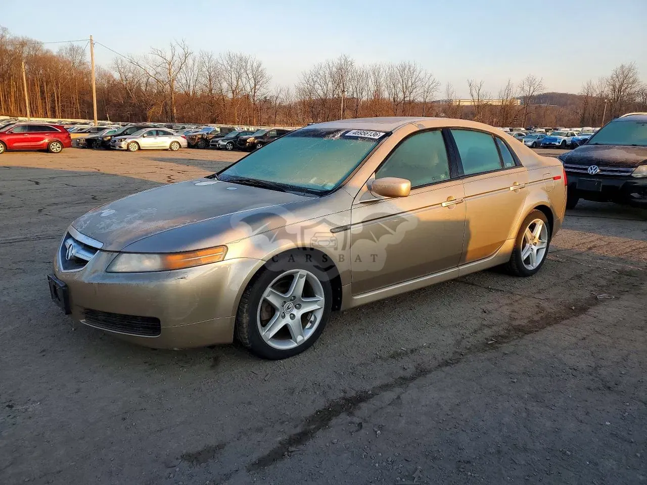 Acura TL 2006