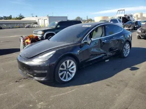 Tesla Model 3 2019