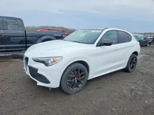 Alfa Romeo Stelvio 2.0L 4 2021