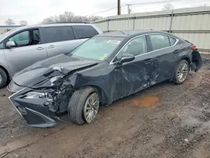 Lexus ES 3.5L 6 2019