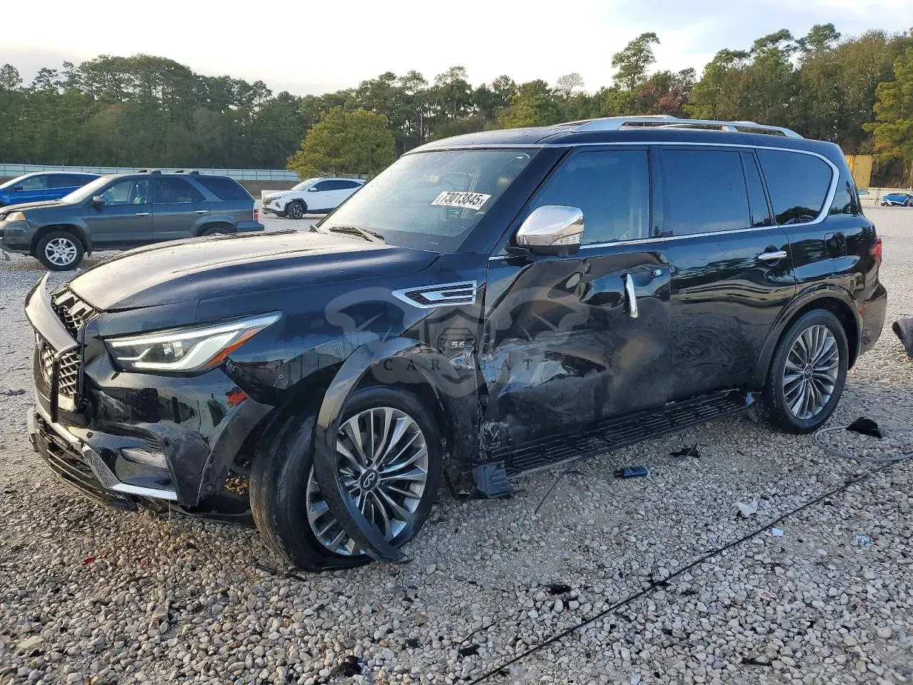 Infiniti QX80 5.6L 8 2019