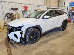 Hyundai Tucson 2.5L 4 2024