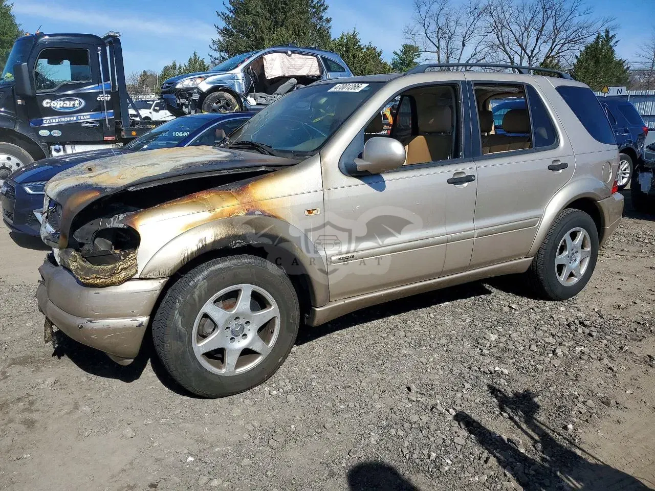 Mercedes-Benz ML 4.3L 8 2001