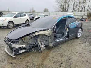 Tesla Model 3 2019