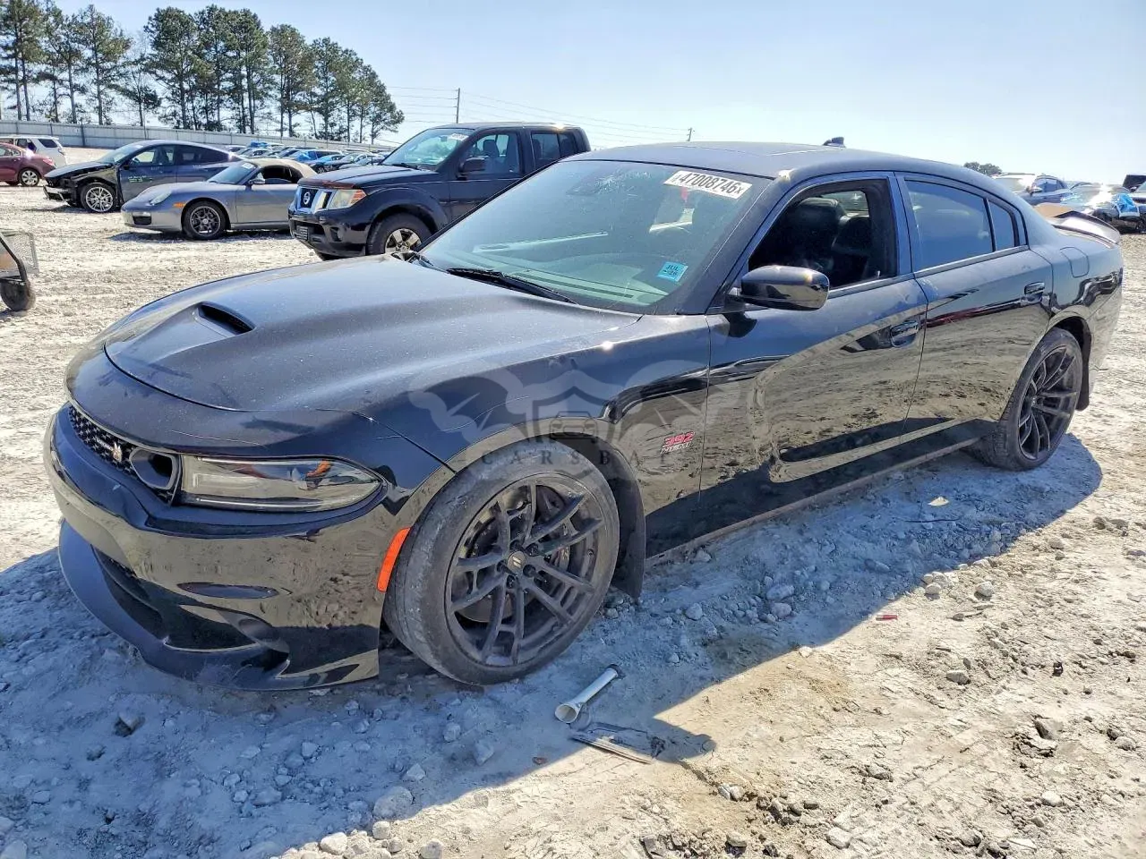 Dodge Charger 6.4L 8 2021