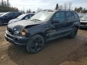 BMW X5 4.4L 8 2005