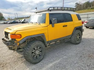 Toyota FJ Cruiser 4.0L 6 2007