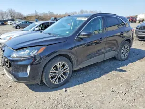 Ford Escape 1.5L 3 2021