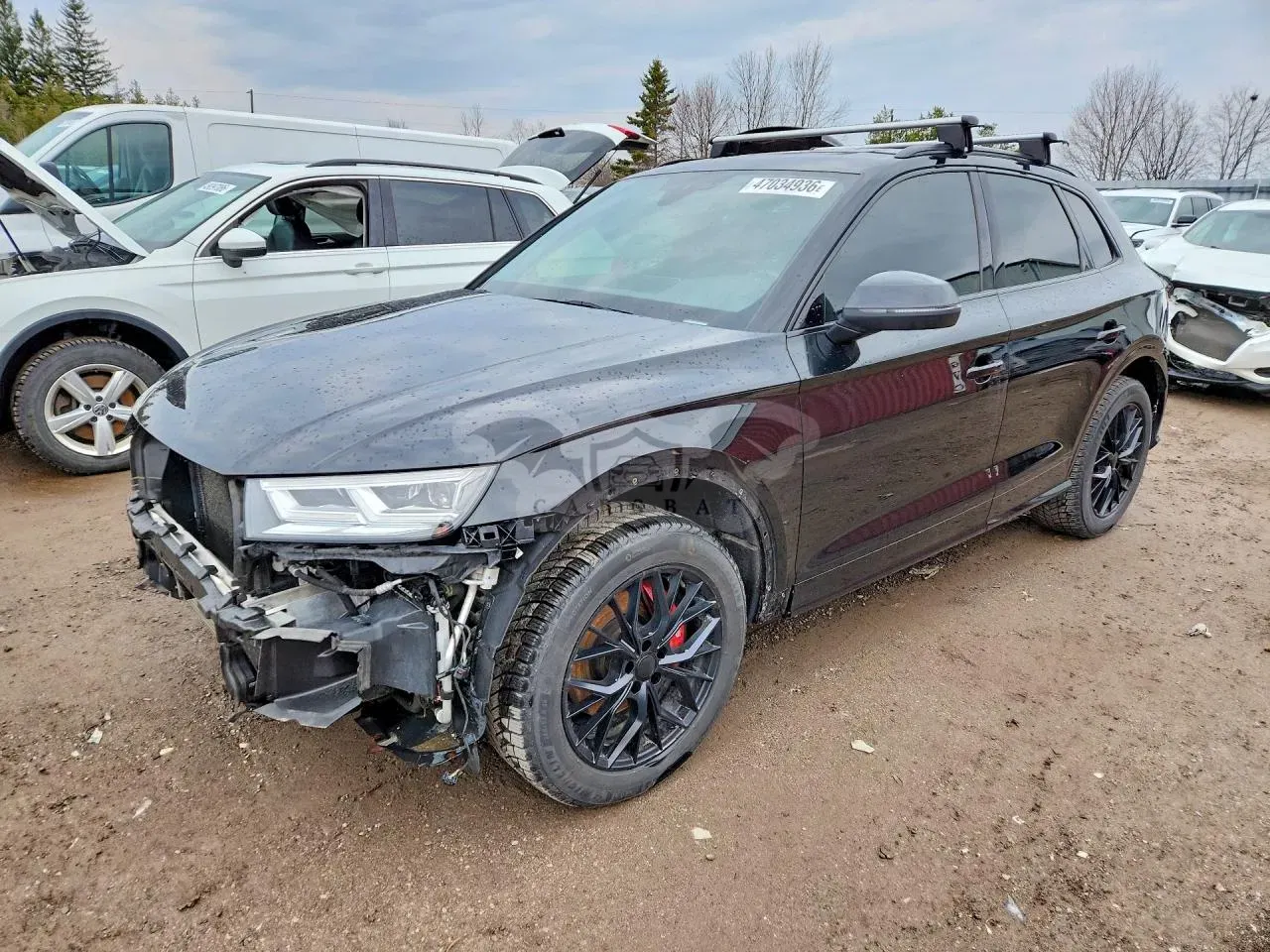 Audi SQ5 3.0L 6 2019