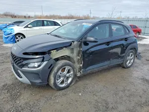 Hyundai Kona 2.0L 4 2022