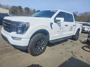 Ford F-150 3.3L 6 2021