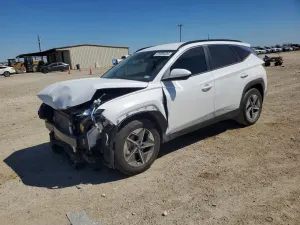 Hyundai Tucson 2.5L 4 2025