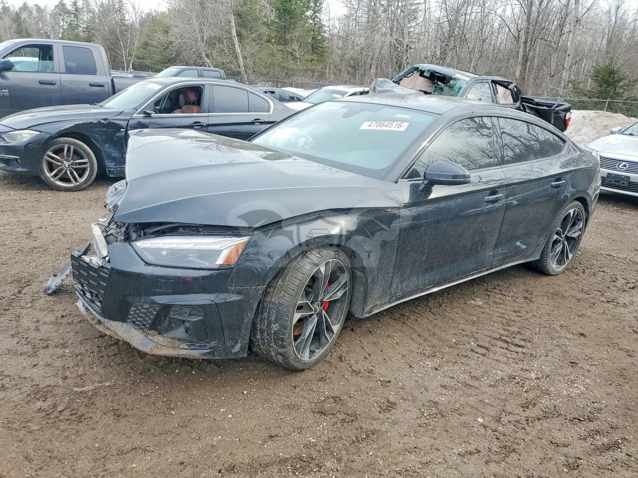 Audi S5 3.0L 6 2023