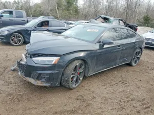 Audi S5 3.0L 6 2023