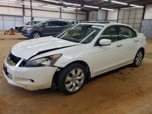 Honda Accord 3.5L 6 2010