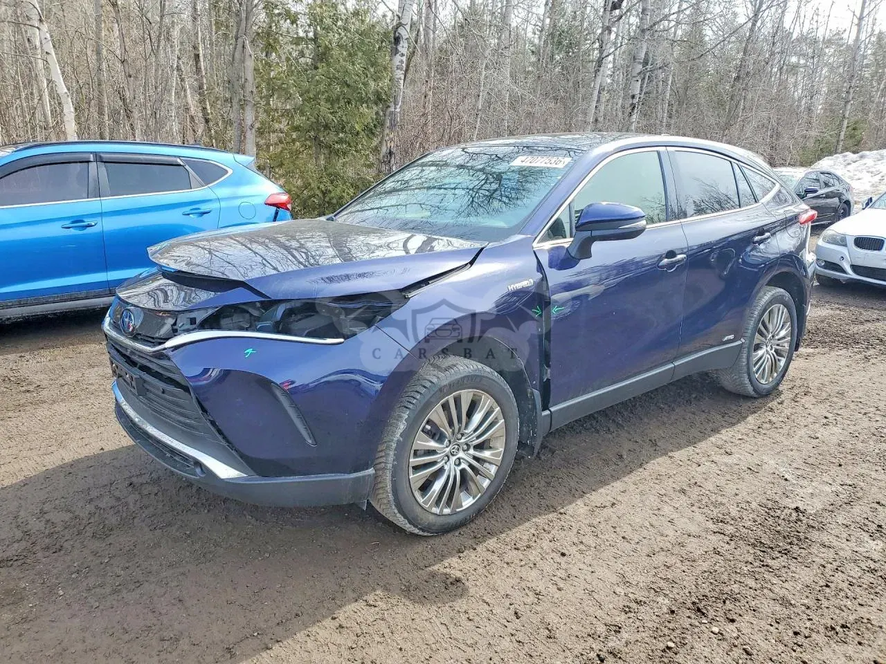 Toyota Venza 2021