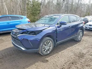 Toyota Venza 2021
