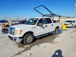 Ford F-150 4.6L 8 2009