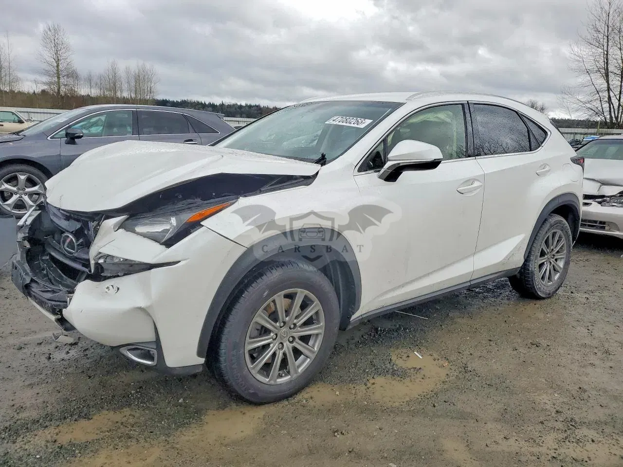 Lexus NX 2.0L 4 2017