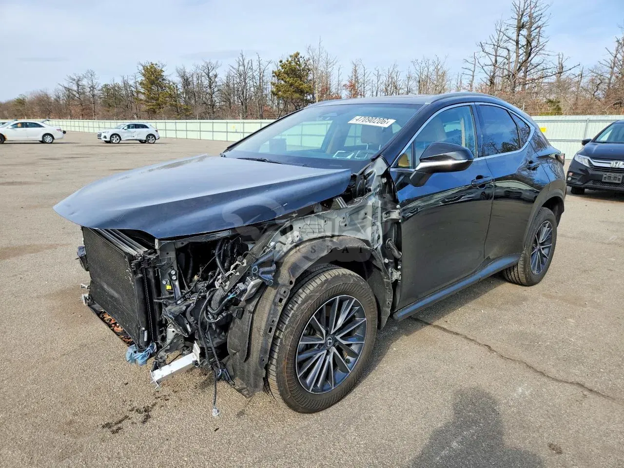 Lexus NX 2.4L 4 2024