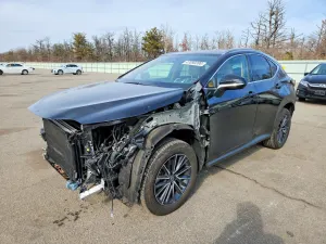 Lexus NX 2.4L 4 2024
