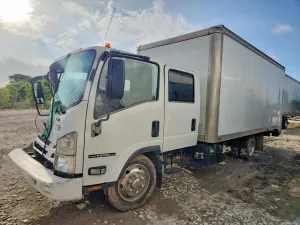 Isuzu NPR 6.0L 8 2019