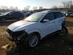 Hyundai Kona 2.0L 4 2018