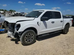Ford F-150 5.0L 8 2024