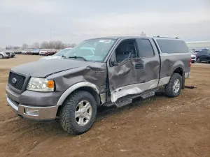 Ford F-150 4.6L 8 2004