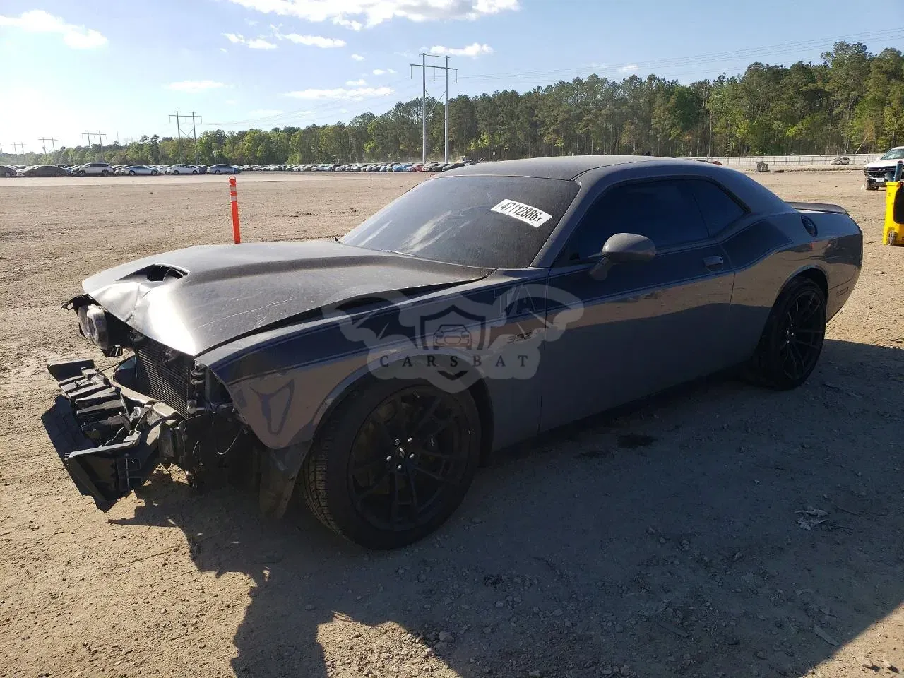 Dodge Challenger 6.4L 8 2019