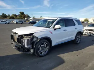Hyundai Palisade 3.8L 6 2024