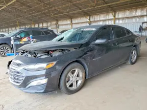 Chevrolet Malibu 1.5L 4 2019